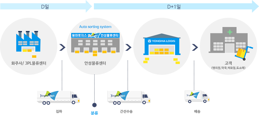 D일 화주사/3PL물류센터 집하 안성물류센터 분류, D+1일 간선수송 용마로지스 배송 고객(병의원, 약국, 백화점, 도소매)